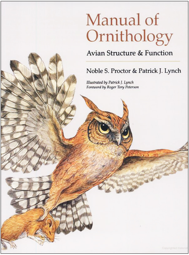 MANUAL OF ORNITHOLOGY: AVIAN STRUCTURE AND FUNCTION 1