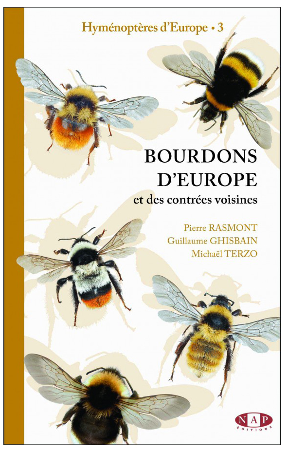 BOURDONS D\'EUROPE ET DES CONTRÉES VOISINES - HYMÉNOPTÈRES D\'EUROPE 3 1