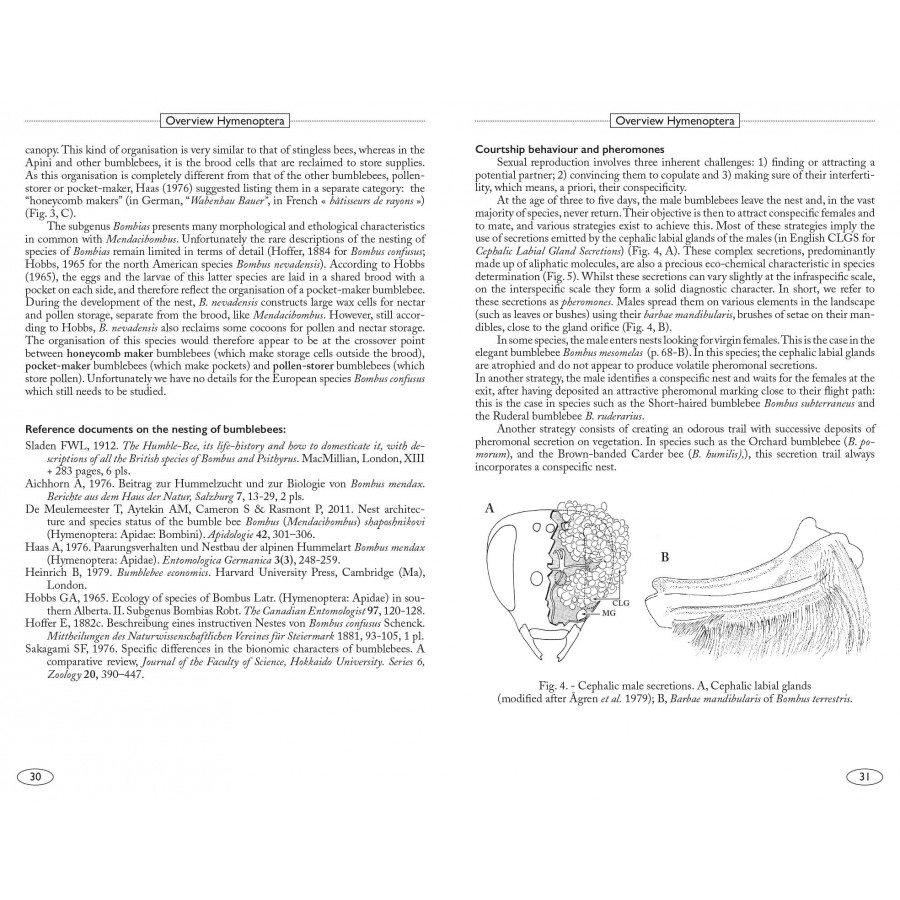 BUMBLEBEES OF EUROPE AND NEIGHBOURING REGIONS - HYMENOPTERA OF EUROPE 3 2