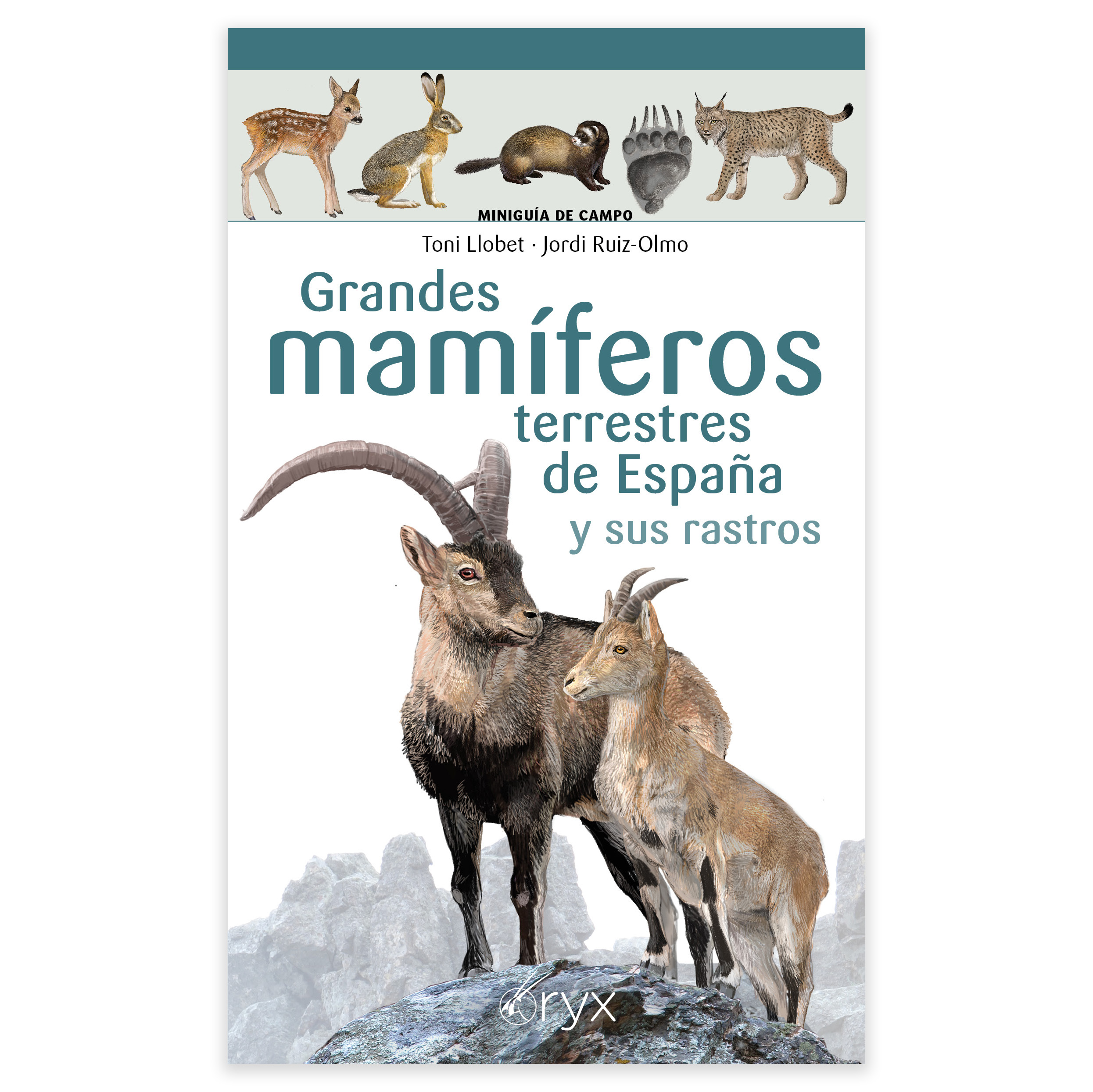GRANDES MAMÍFEROS TERRESTRES DE ESPAÑA Y SUS RASTROS. MINIGUÍA DE CAMPO 1