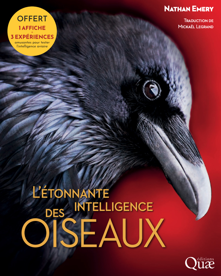 L\'ÉTONNANTE INTELLIGENCE DES OISEAUX 1