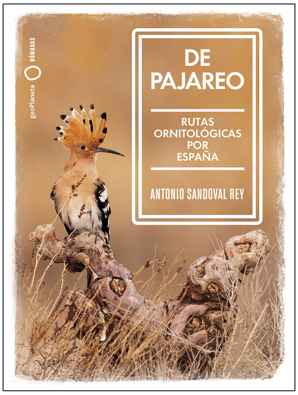 DE PAJAREO. RUTAS ORNITOLÓGICAS POR ESPAÑA 1