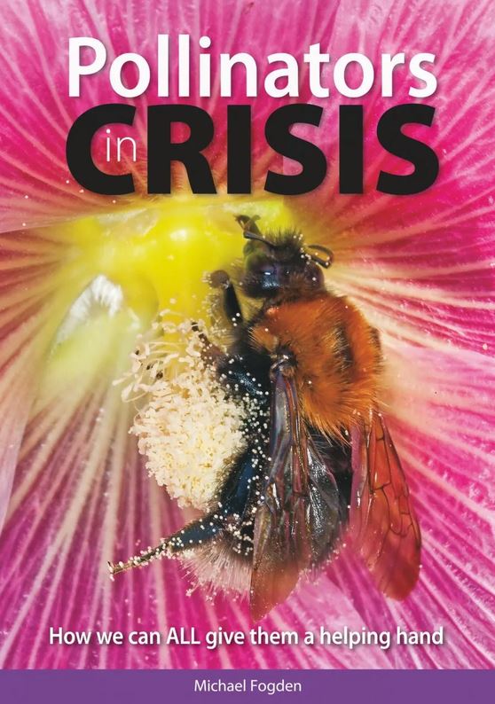 POLLINATORS IN CRISIS. HOW WE CAN ALL GIVE HIM A HELPING HAND 1