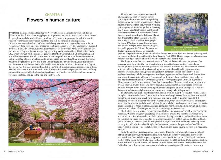 POLLINATORS IN CRISIS. HOW WE CAN ALL GIVE HIM A HELPING HAND 2