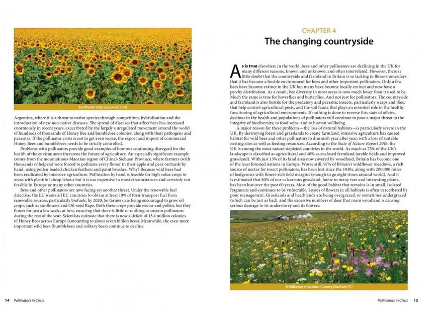 POLLINATORS IN CRISIS. HOW WE CAN ALL GIVE HIM A HELPING HAND 3