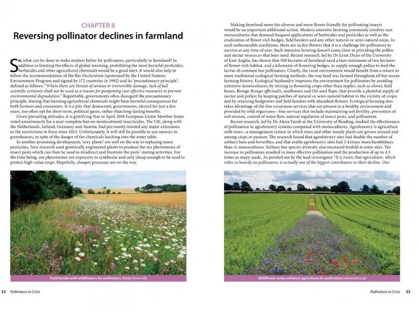 POLLINATORS IN CRISIS. HOW WE CAN ALL GIVE HIM A HELPING HAND 4