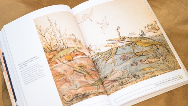 PALEONTOLOGY. AN ILLUSTRATED HISTORY 2