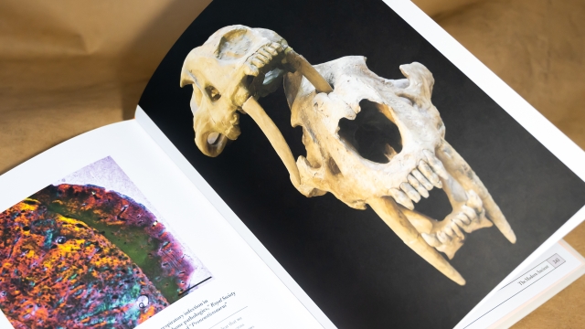 PALEONTOLOGY. AN ILLUSTRATED HISTORY 3