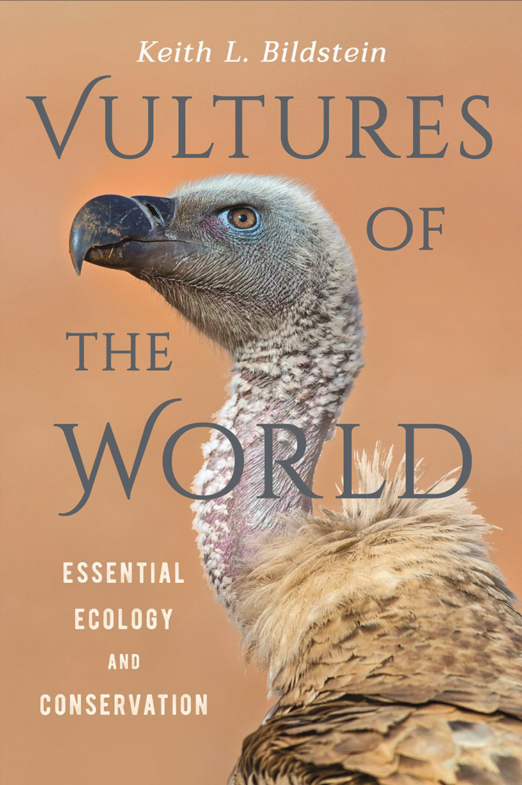 VULTURES OF THE WORLD 1