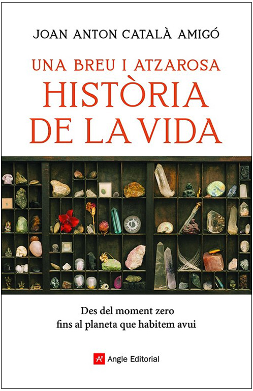 UNA BREU I ATZAROSA HISTÒRIA DE LA VIDA 1