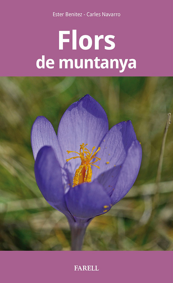 FLORS DE MUNTANYA