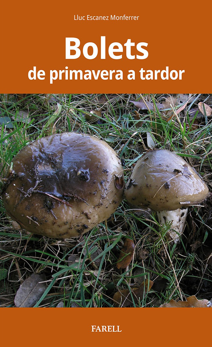 BOLETS DE PRIMAVERA A TARDOR 1