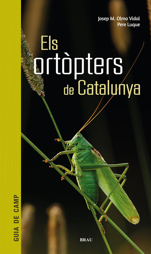 ELS ORTÒPTERS DE CATALUNYA 1