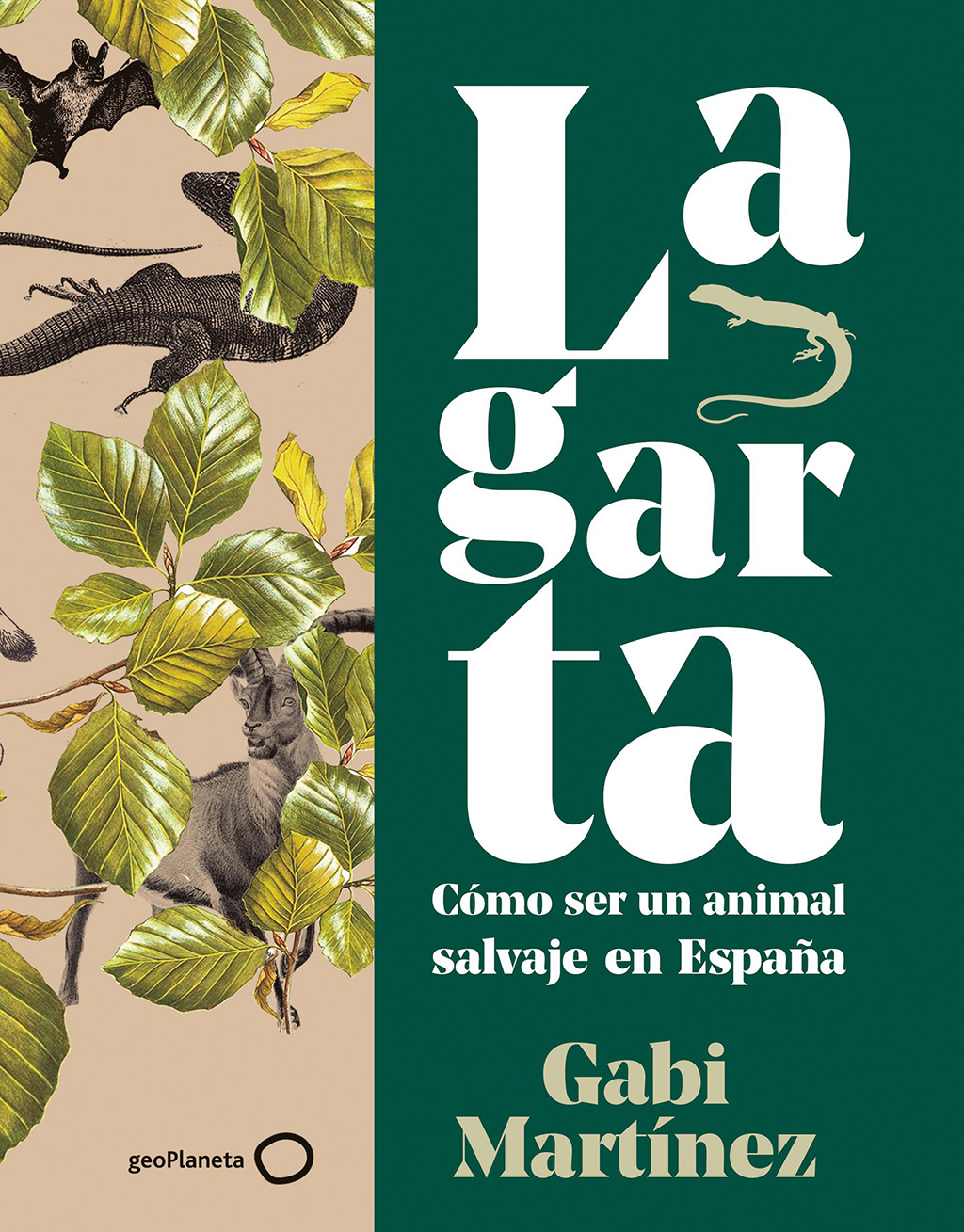 LAGARTA. CÓMO SER UN ANIMAL SALVAJE EN ESPAÑA 1