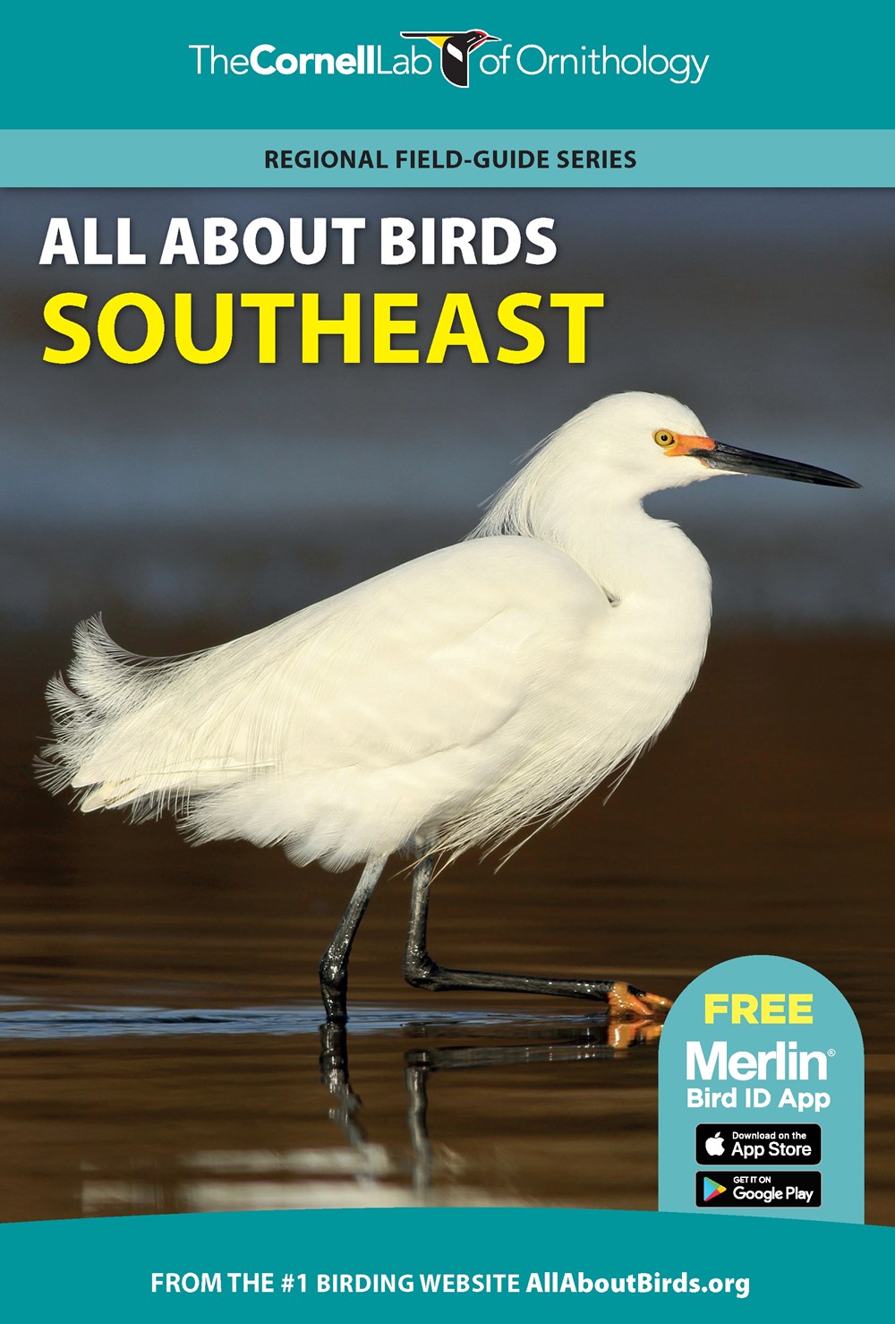 THE CORNELL LAB OF ORNITHOLOGY. REGIONAL FIELD GUIDE SERIES. ALL ABOUT BIRDS SOUTHEAST