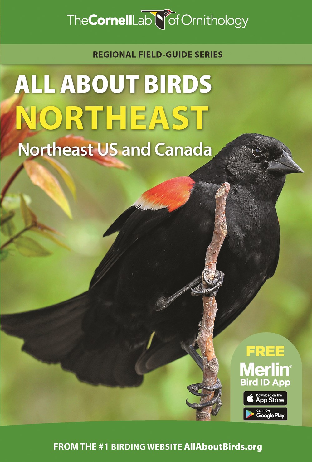 THE CORNELL LAB OF ORNITHOLOGY. REGIONAL FIELD GUIDE SERIES. ALL ABOUT BIRDS NORTHEAST: NORTHEAST US AND CANADA