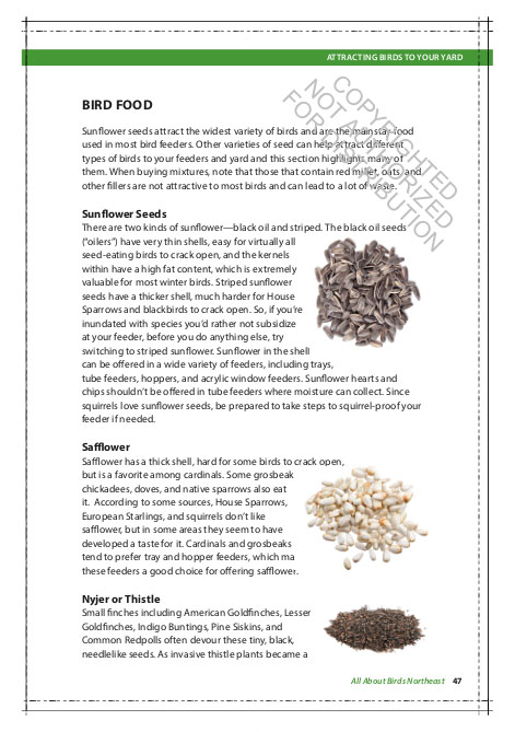 THE CORNELL LAB OF ORNITHOLOGY. REGIONAL FIELD GUIDE SERIES. ALL ABOUT BIRDS NORTHEAST: NORTHEAST US AND CANADA 2