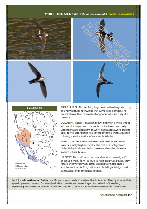 THE CORNELL LAB OF ORNITHOLOGY. REGIONAL FIELD GUIDE SERIES. ALL ABOUT BIRDS NORTHWEST: NORTHWEST US AND CANADA 3