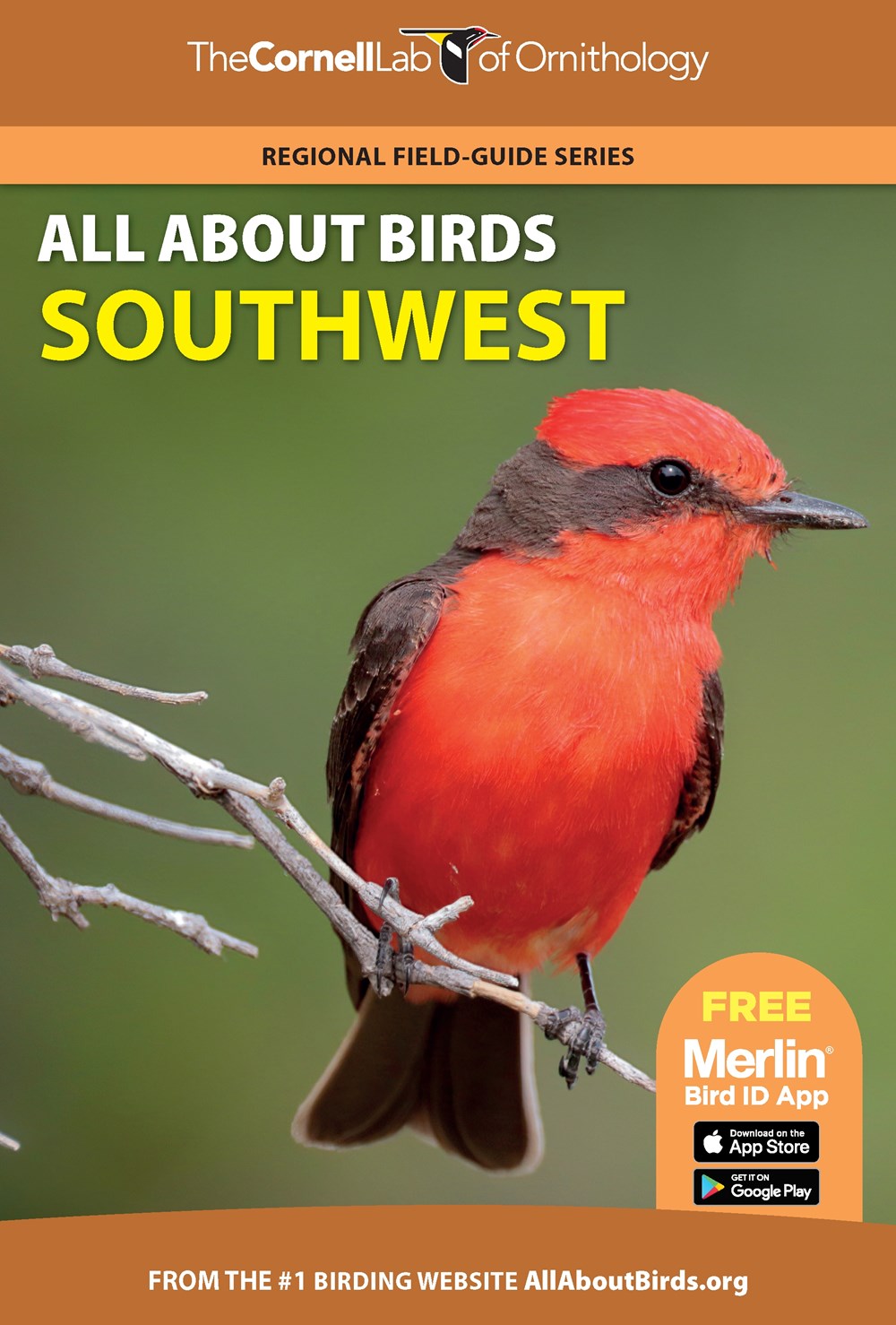 THE CORNELL LAB OF ORNITHOLOGY. REGIONAL FIELD GUIDE SERIES. ALL ABOUT BIRDS SOUTHWEST
