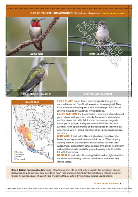 THE CORNELL LAB OF ORNITHOLOGY. REGIONAL FIELD GUIDE SERIES. ALL ABOUT BIRDS SOUTHWEST 3