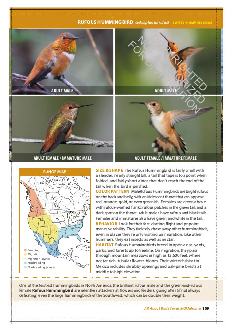 THE CORNELL LAB OF ORNITHOLOGY. REGIONAL FIELD GUIDE SERIES. ALL ABOUT BIRDS TEXAS AND OKLAHOMA 2