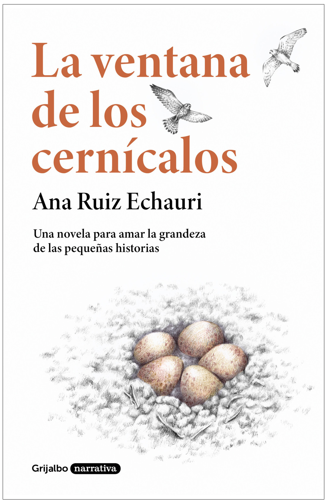 LA VENTANA DE LOS CERNÍCALOS 1