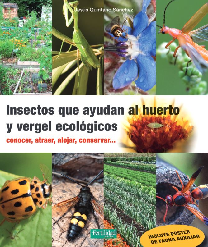 INSECTOS QUE AYUDAN AL HUERTO Y VERGEL ECOLÓGICO 1