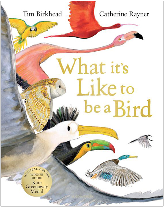 WHAT IT'S LIKE TO BE A BIRD 1