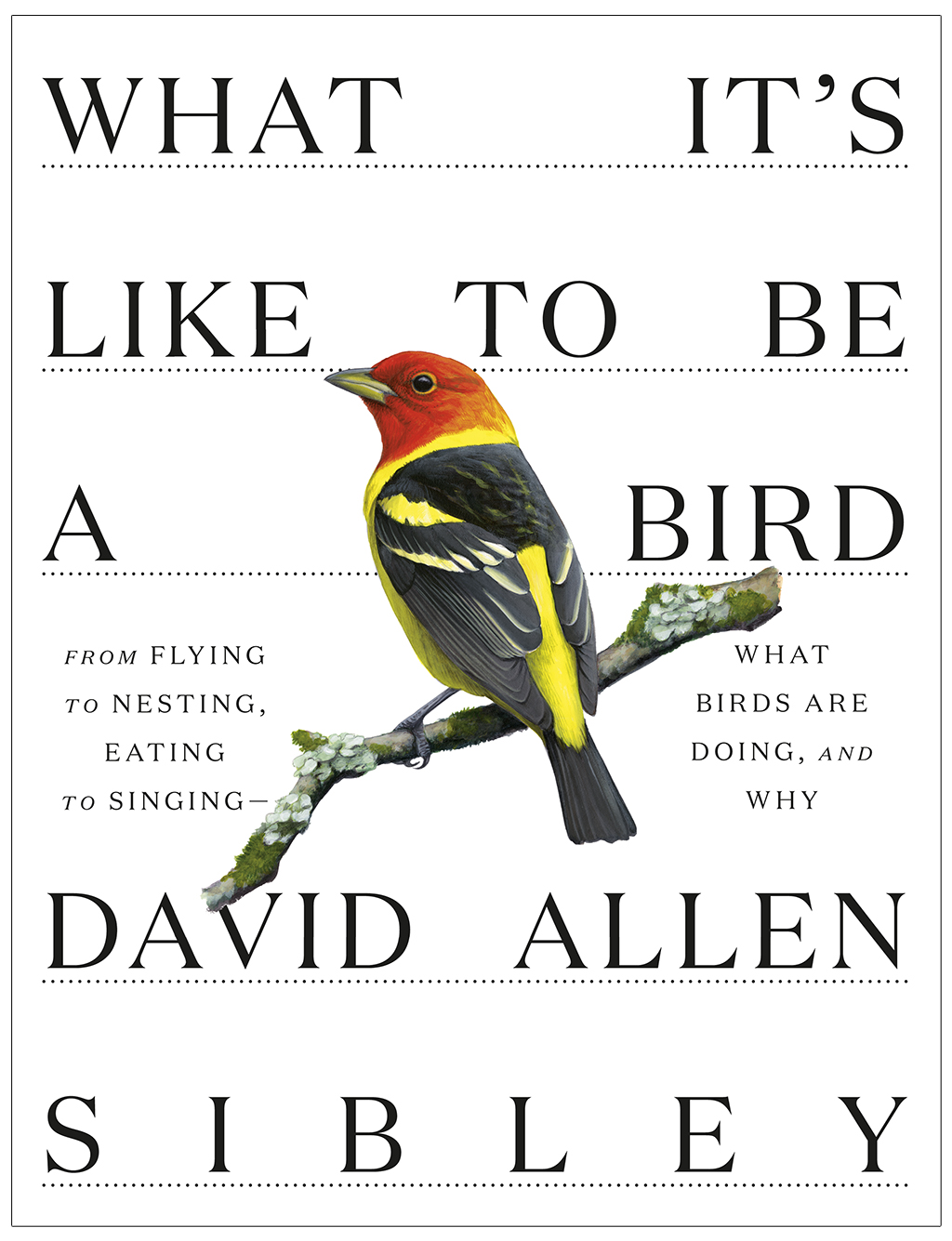 WHAT IT'S LIKE TO BE A BIRD. FROM FLYING TO NESTING, EATING TO SINGING -  WHAT BIRDS ARE DOING, AND WHY 1