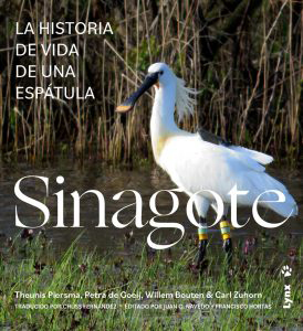 SINAGOTE, LA HISTORIA DE VIDA DE UNA ESPÁTULA 1