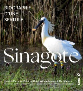 SINAGOTE. BIOGRAPHIE D'UNE SPATULE