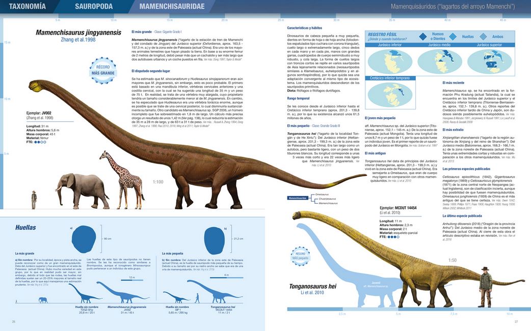 RÉCORDS Y CURIOSIDADES DE LOS DINOSAURIOS. SAURÓPODOS Y OTROS SAUROPODOMORFOS 2