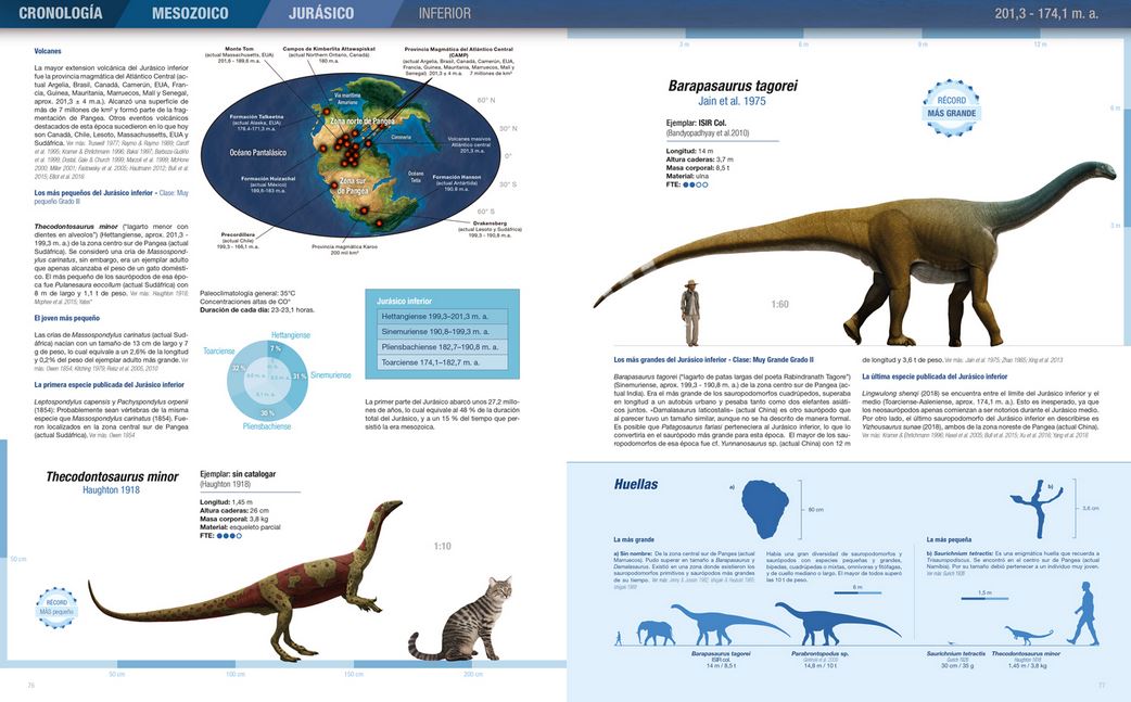 RÉCORDS Y CURIOSIDADES DE LOS DINOSAURIOS. SAURÓPODOS Y OTROS SAUROPODOMORFOS 4
