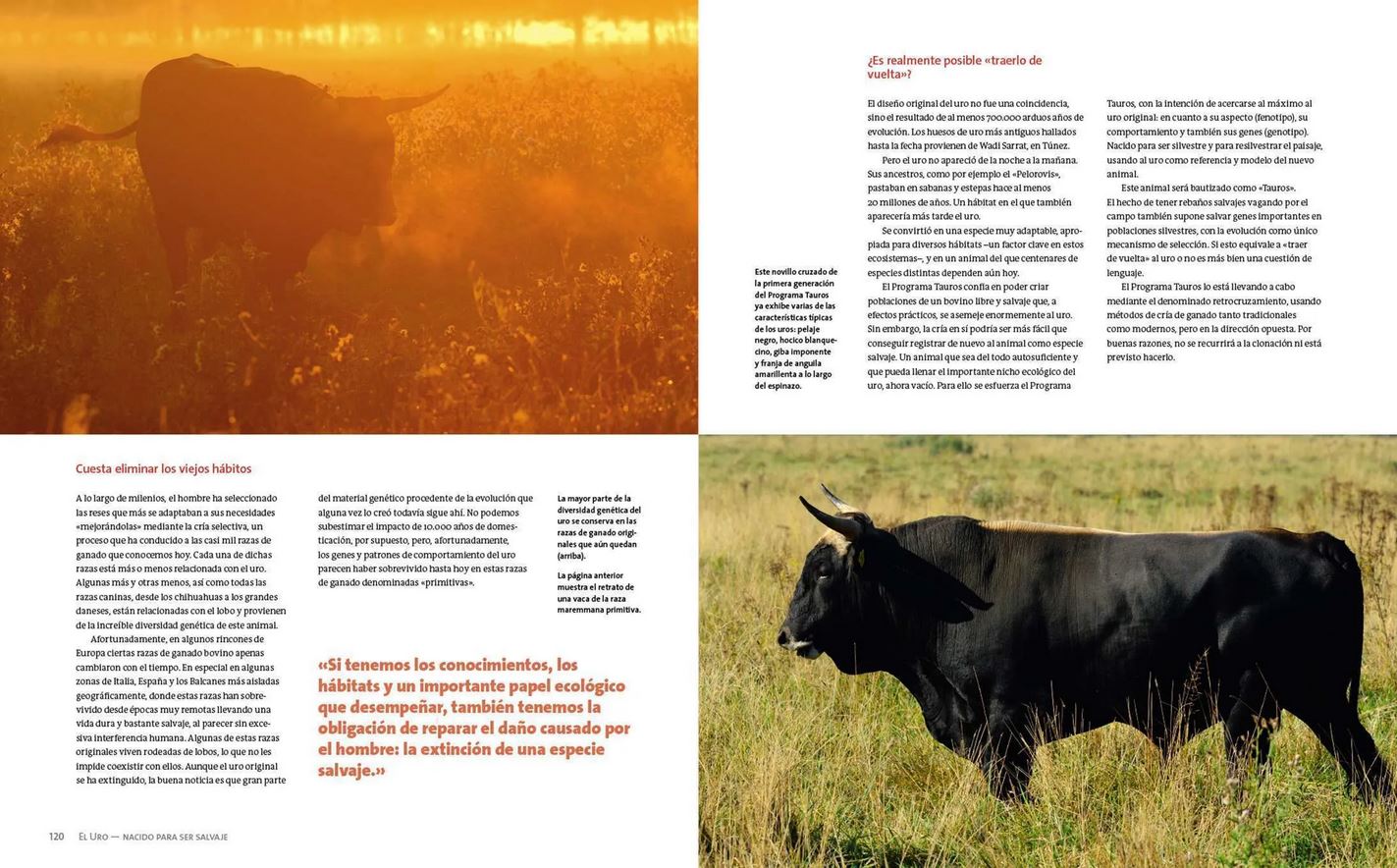 EL URO. NACIDO PARA SER SALVAJE 6