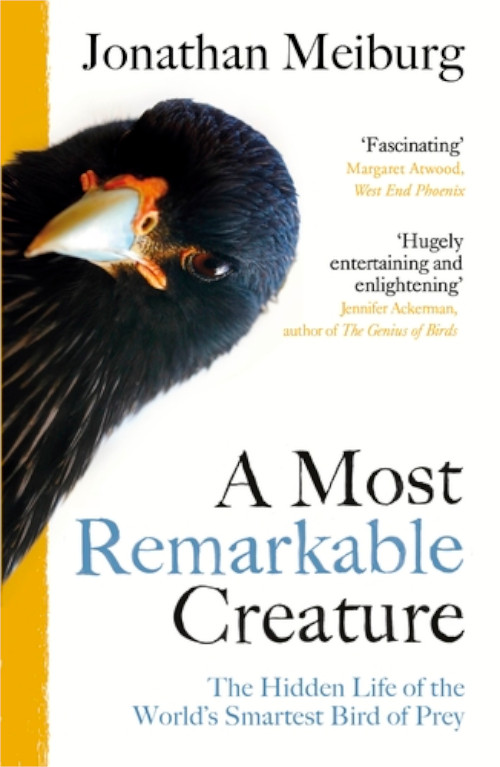 A MOST REMARKABLE CREATURE: THE HIDDEN LIFE AND EPIC JOURNEY OF THE WORL'D SMARTEST BIRD OF PREY