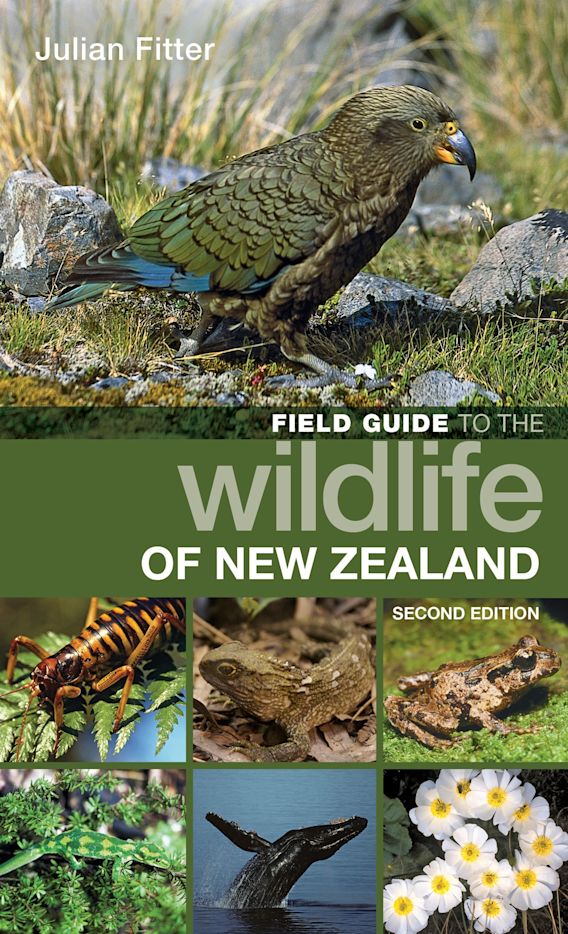 FIELD GUIDE TO THE WILDLIFE OF NEW ZEALAND