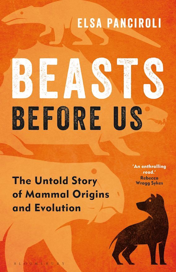 BEASTS BEFORE US. THE UNTOLD STORY OF MAMMAL ORIGINS AND EVOLUTION