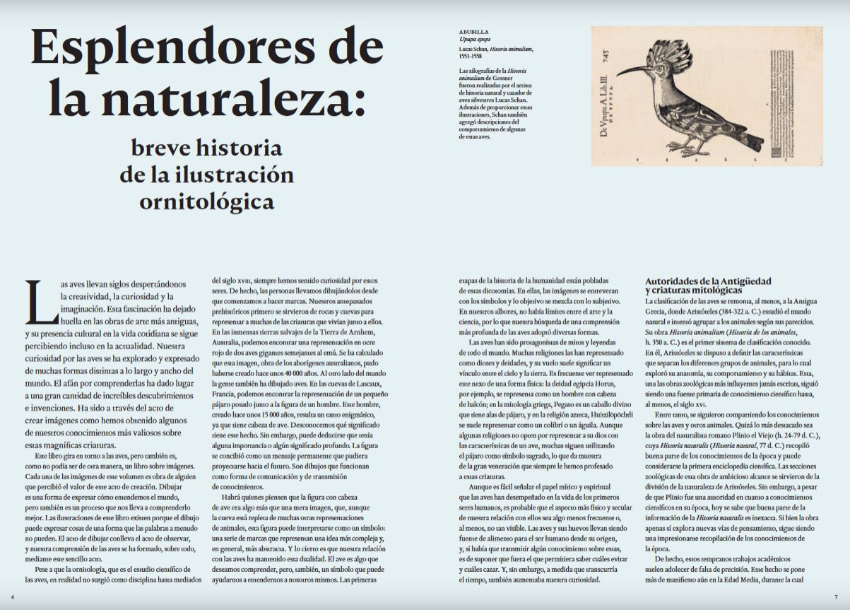 LAS AVES. LA EDAD DE ORO DE LA ILUSTRACIÓN DE LAS AVES 3