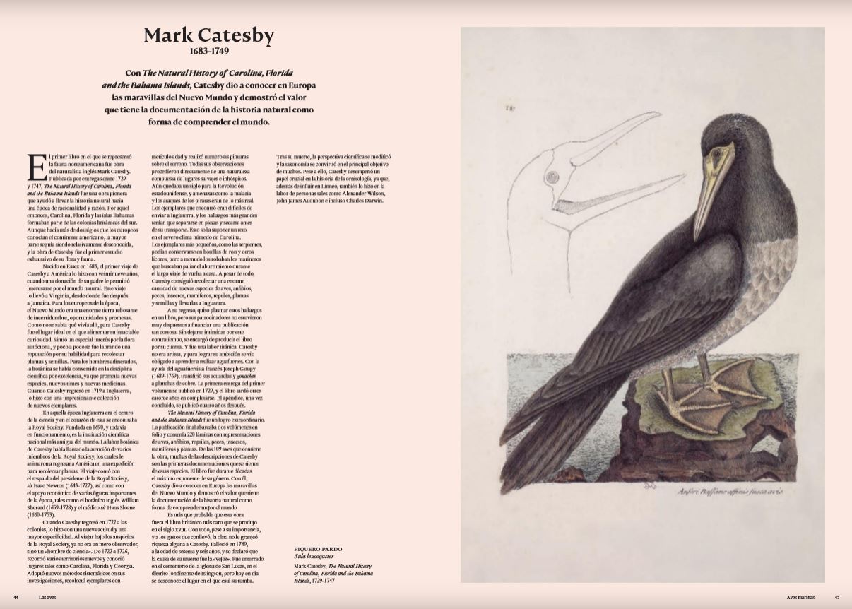 LAS AVES. LA EDAD DE ORO DE LA ILUSTRACIÓN DE LAS AVES 4