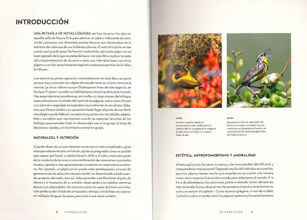 EL COMPORTAMIENTO DE LAS AVES. CÓMO INTERPRETAR LO QUE HACEN Y POR QUÉ 3