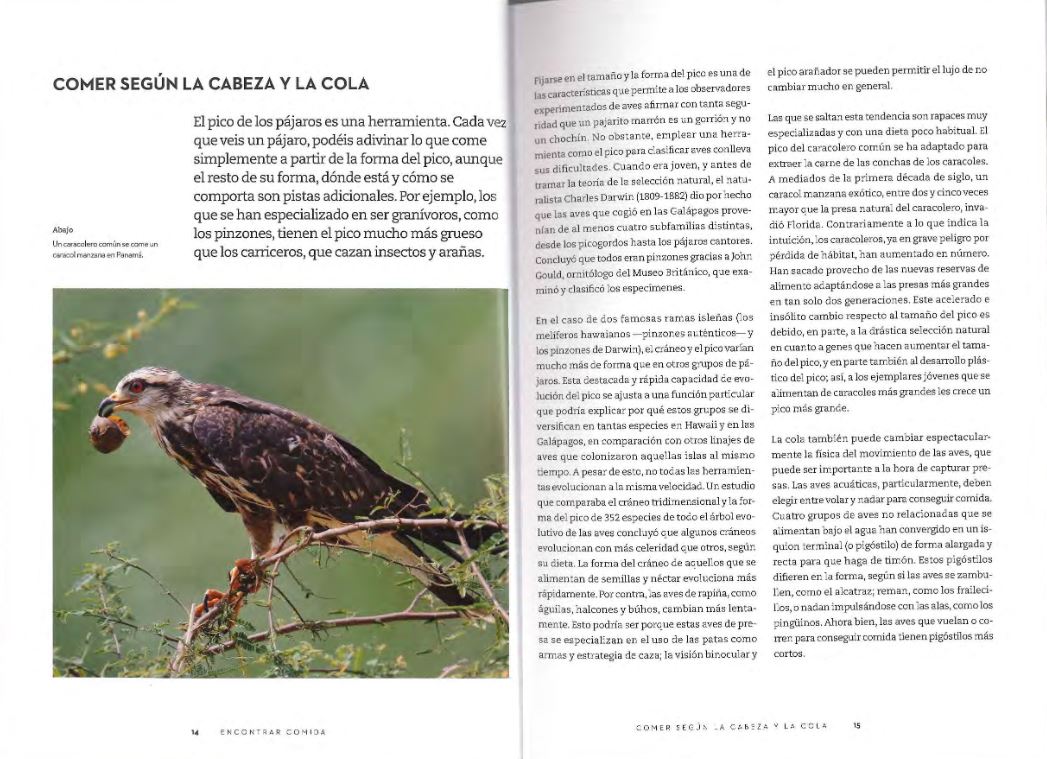 EL COMPORTAMIENTO DE LAS AVES. CÓMO INTERPRETAR LO QUE HACEN Y POR QUÉ 5