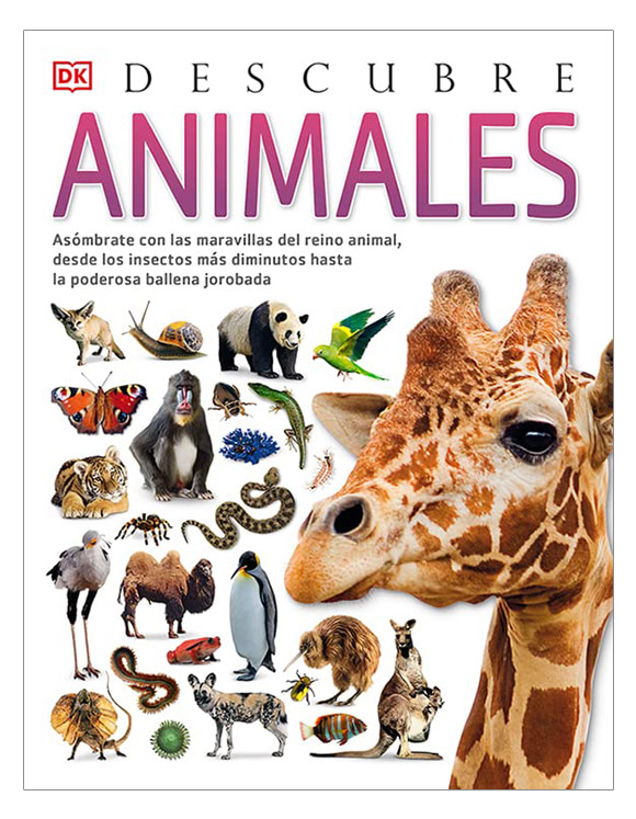 DESCUBRE ANIMALES