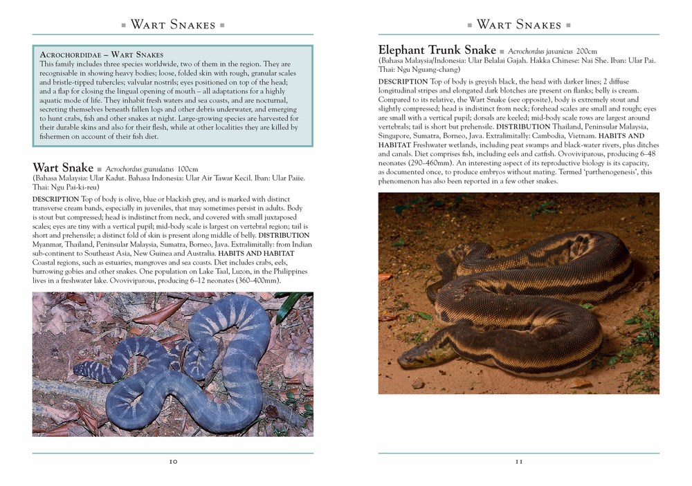 A NATURALIST'S GUIDE TO THE SNAKES OF SOUTHEAST ASIA 3º EDITION 2