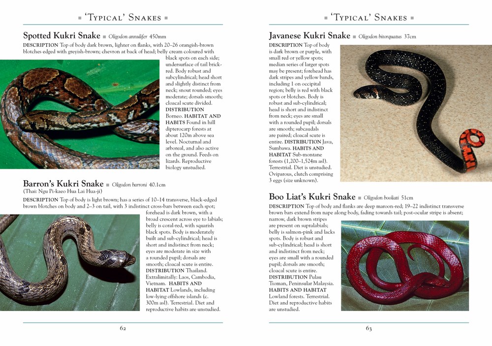 A NATURALIST'S GUIDE TO THE SNAKES OF SOUTHEAST ASIA 3º EDITION 3