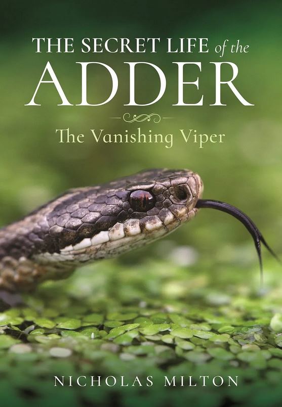 THE SECRET LIFE OF THE ADDER. THE VANISHING VIPER 1
