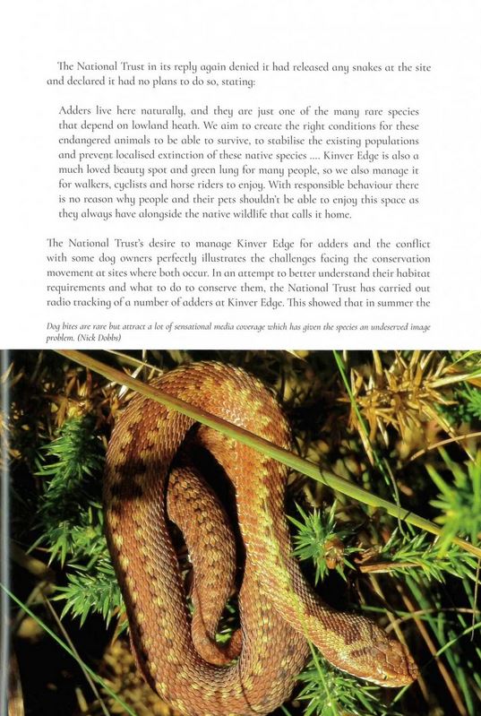 THE SECRET LIFE OF THE ADDER. THE VANISHING VIPER 2