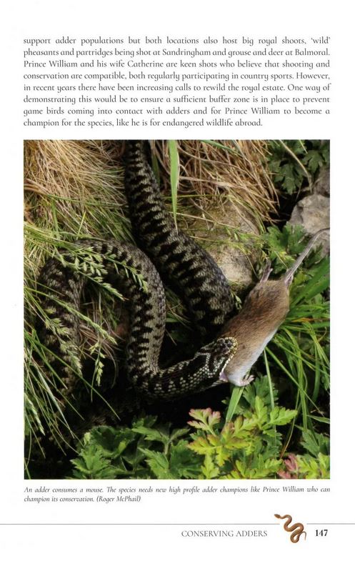 THE SECRET LIFE OF THE ADDER. THE VANISHING VIPER 3