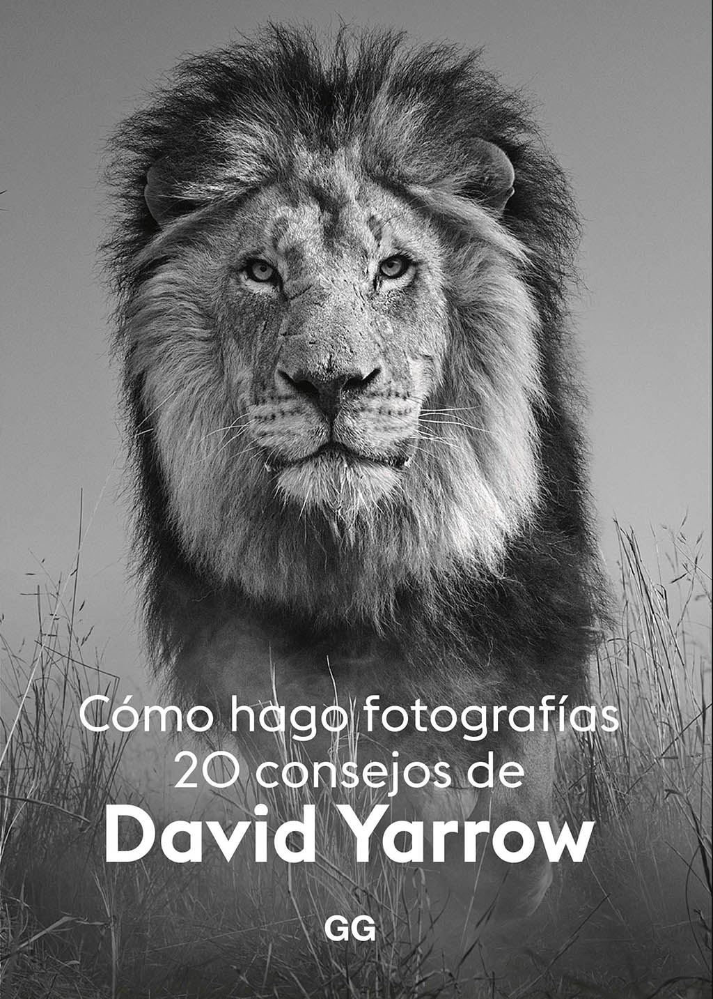 CÓMO HAGO FOTOGRAFÍAS. 20 CONSEJOS 1