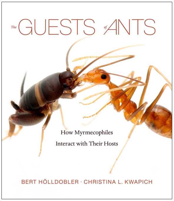 THE GUESTS OF ANTS. HOW MYRMECOPHILES INTERACT WITH THEIR HOSTS