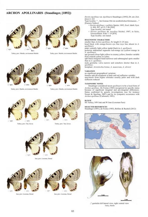 GUIDE TO THE BUTTERFLIES OF THE PALEARTIC REGION. PAPILIONIDAE PART 3 3